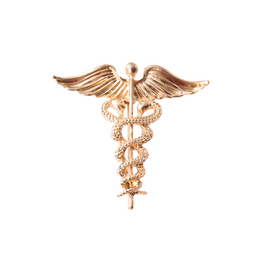 Angel wings medical brooch