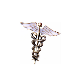 Classic angel wings brooch