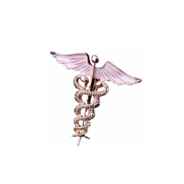 Classic angel wings brooch